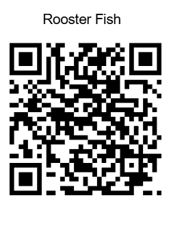 Descripción de la imagen